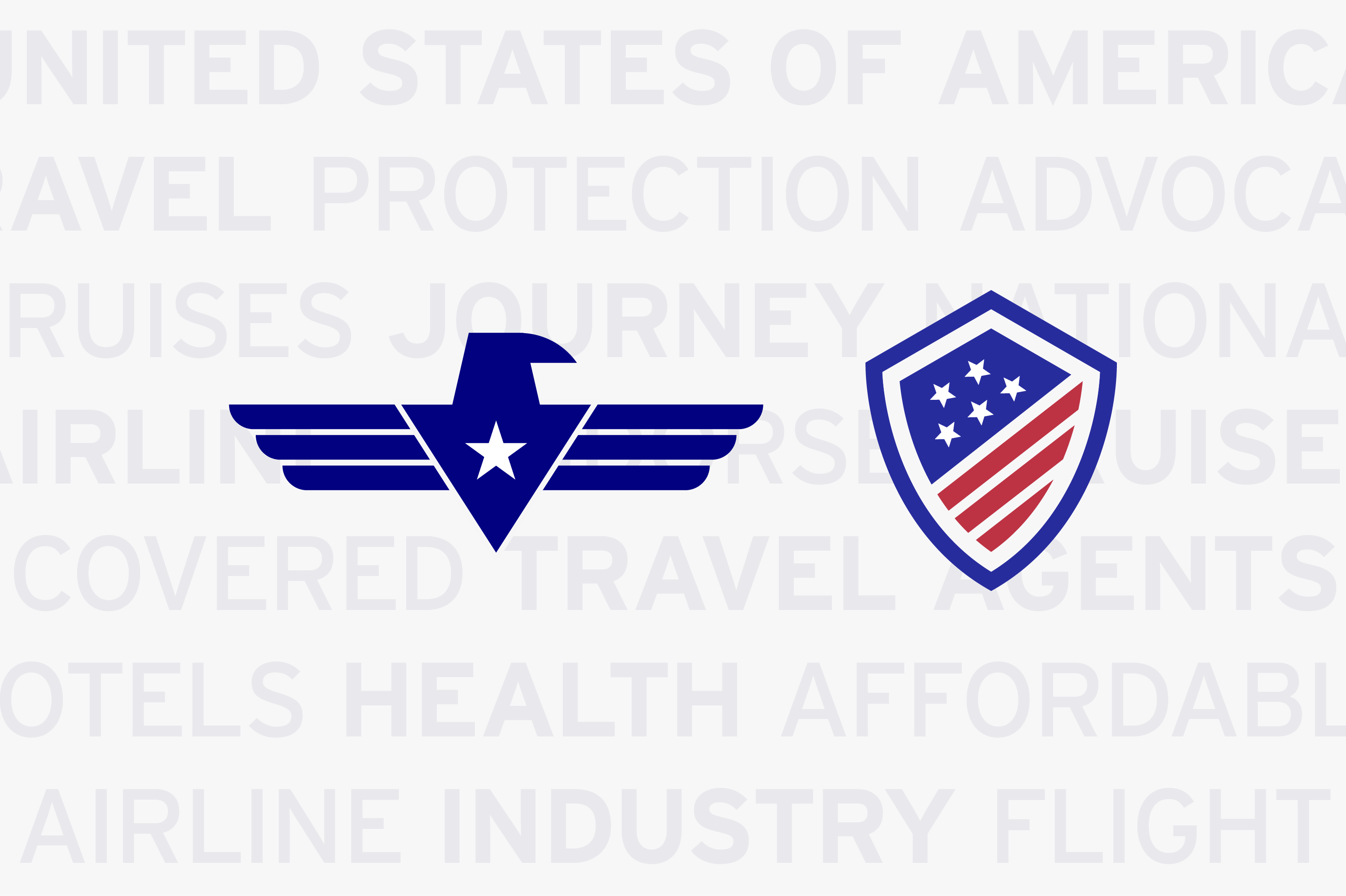 Graphics of an eagle and sheild which inspired the U.S. Travel Insurance Association Logo design